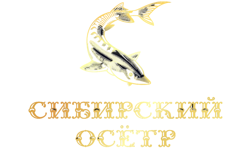Сибирский осётр